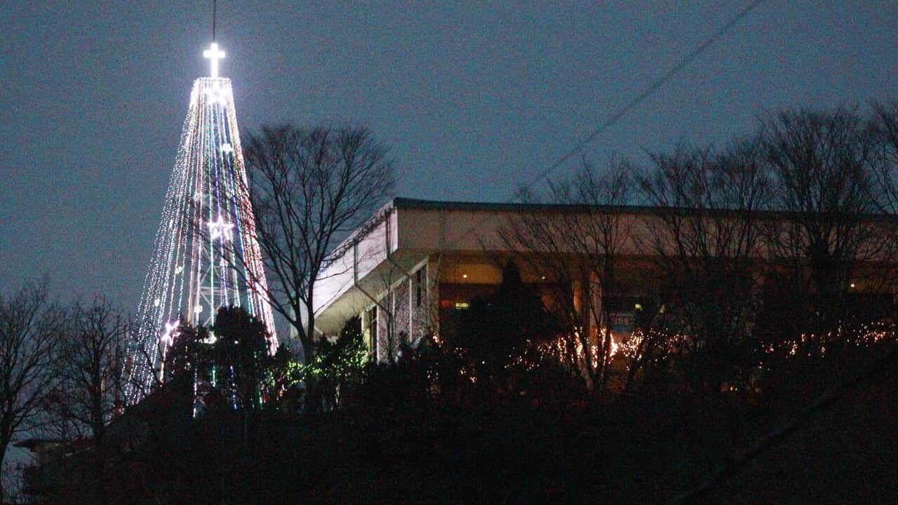  한국 김포 ‘애기봉 성탄 트리’ 10년 만에 재점등