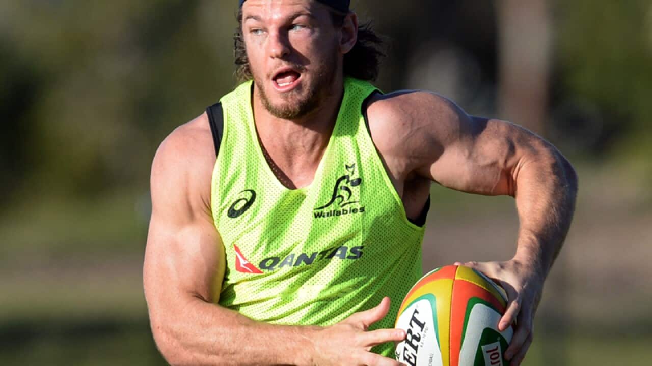 Wallabies player Rob Horne