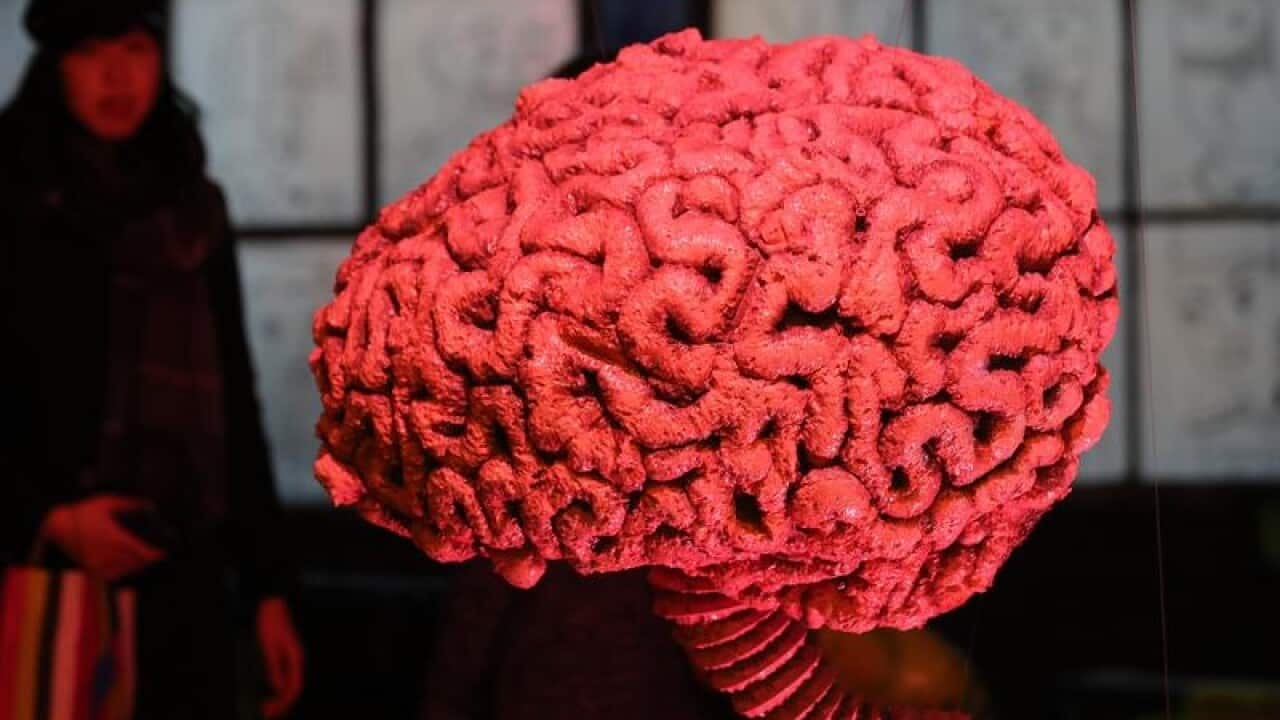 a giant brain part of a 3-D projection