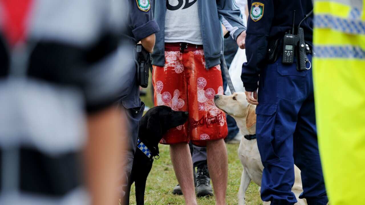 Police search a festival goer at the Good Vibrations music festival at Centennial Park.