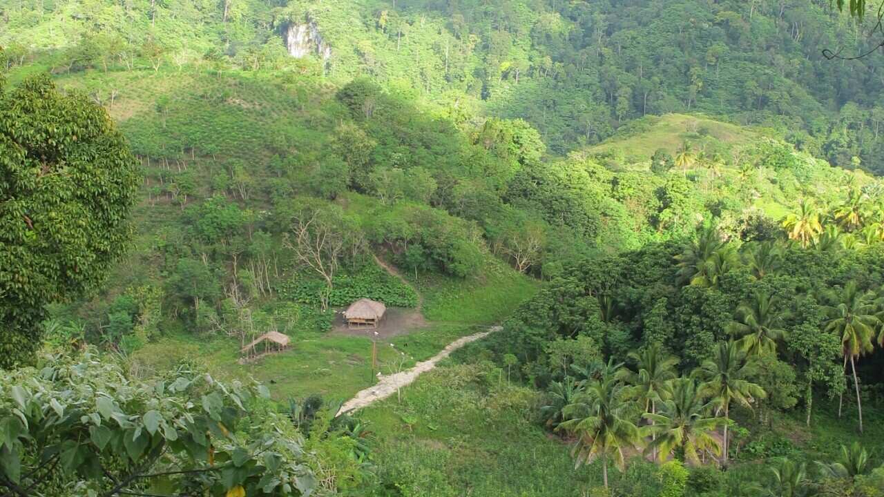 sumba_houses_130923_sbs.JPG