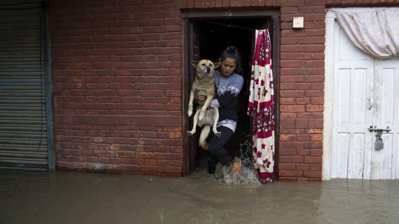 A woman gets her dog out from her flooded house on the banks of the Bagmati river following heavy monsoon rains in Kathmandu, Nepal on Saturday, 6 July 2024.