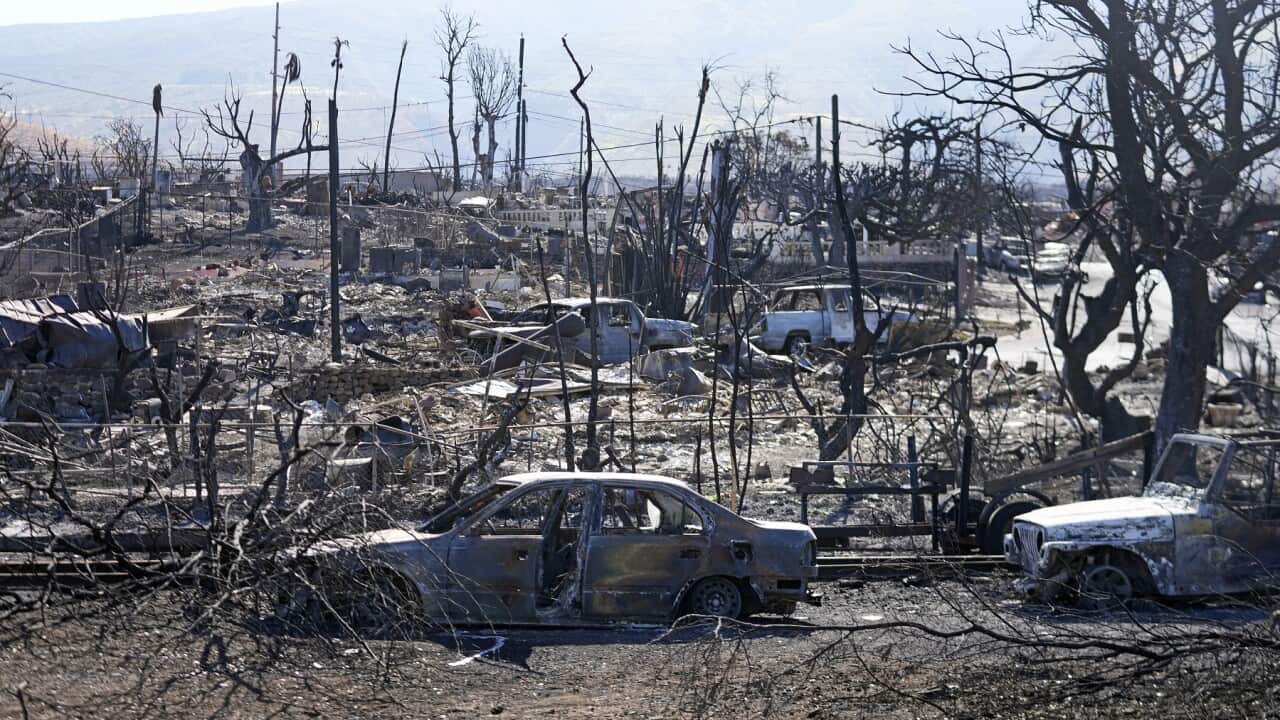 Destroyed homes and cars in Lahaina, Maui
