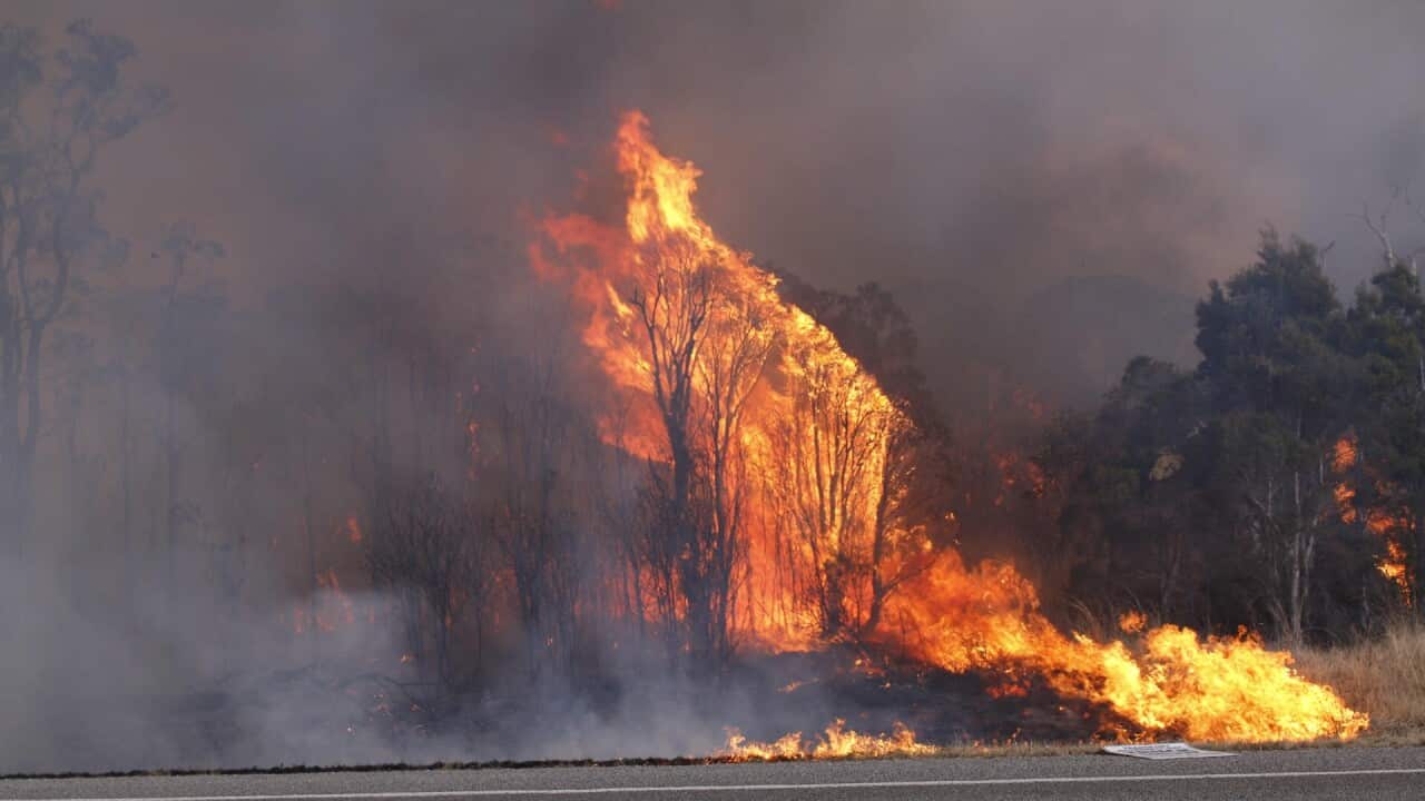 NSW fire