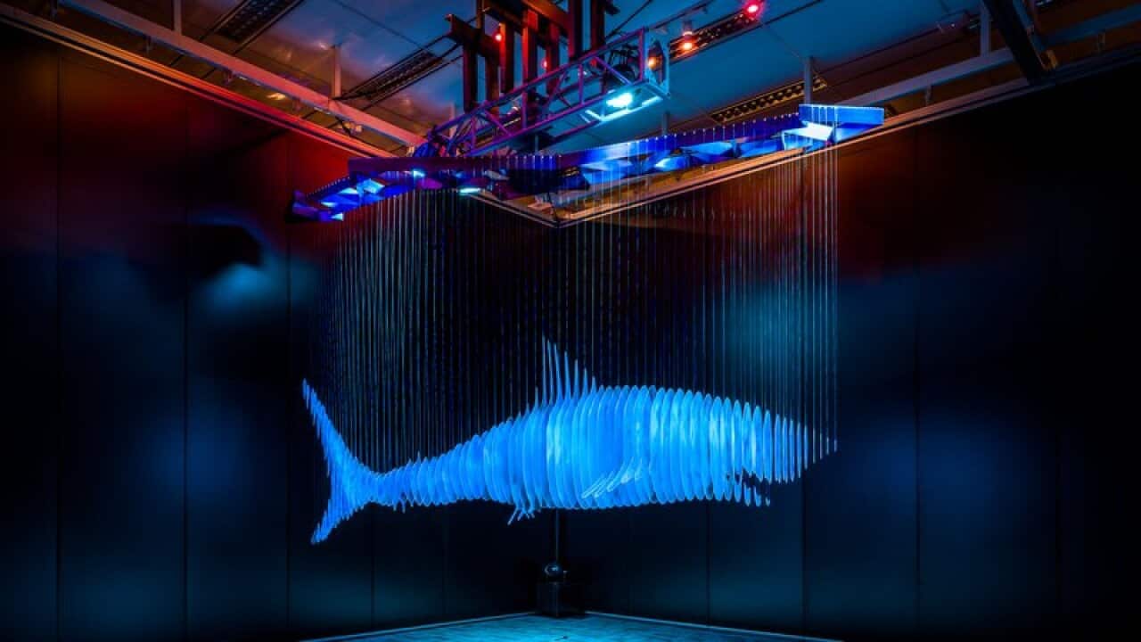 Li Jiwei - Don't Clone II in der Ausstellung On Sharks and Humans