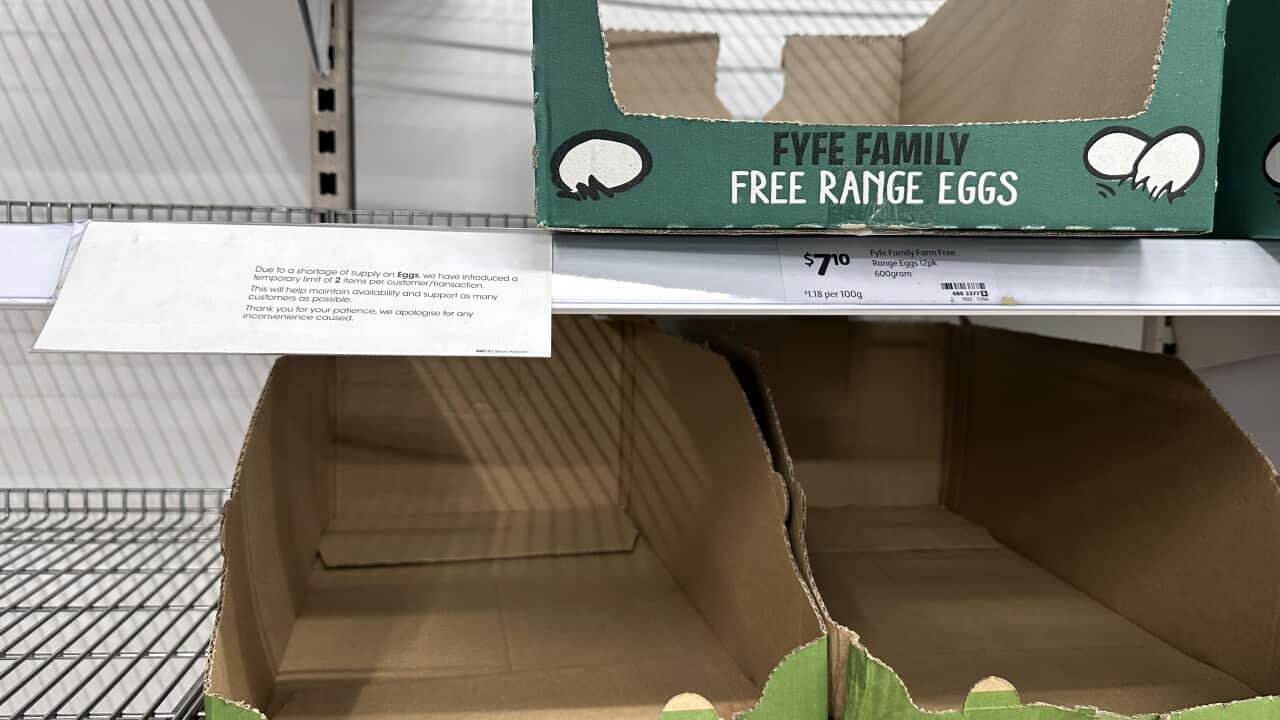 Australian egg producers say there are no shortages as photos emerge of empty supermarket shelves.