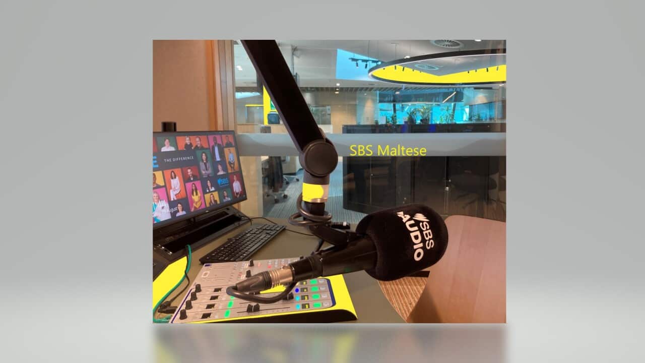 SBS Maltese studio .jpg