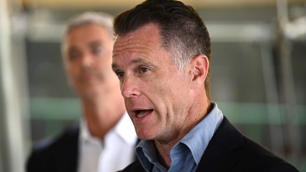 CHRIS MINNS MANLY FERRY SERVICE