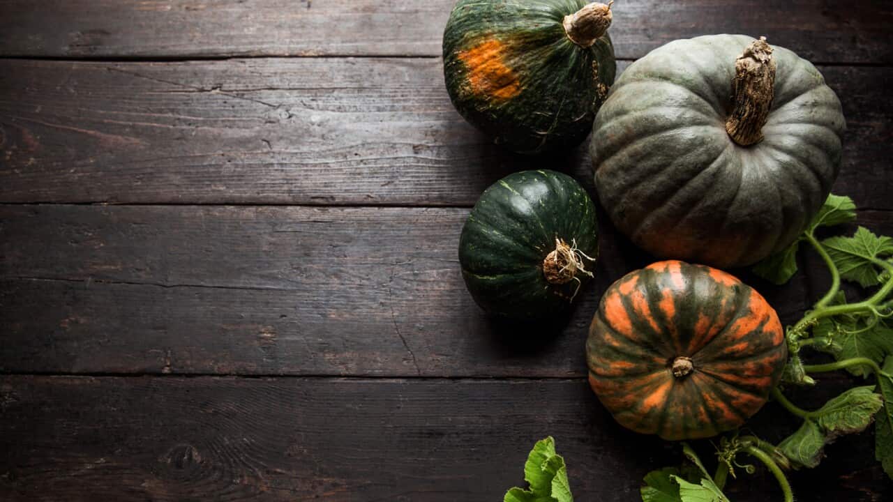 Pumpkin