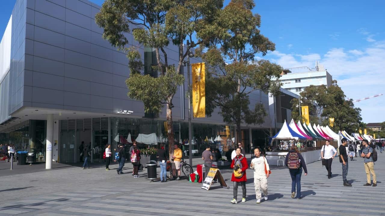 Scott Morrison says there is a case to be made for limiting the number of international students enrolled in Sydney and Melbourne. 