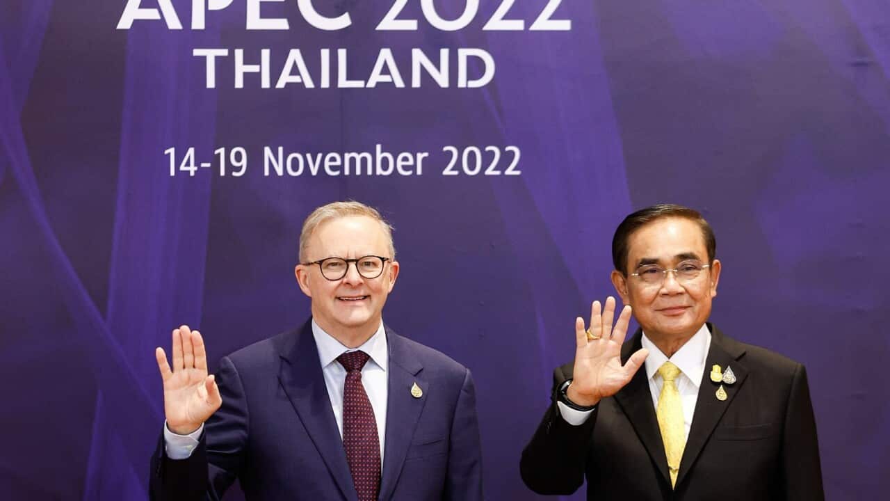 Anthony Albanese and Thailand's Prime Minister Prayuth Chan-ocha at the APEC summit (AAP)