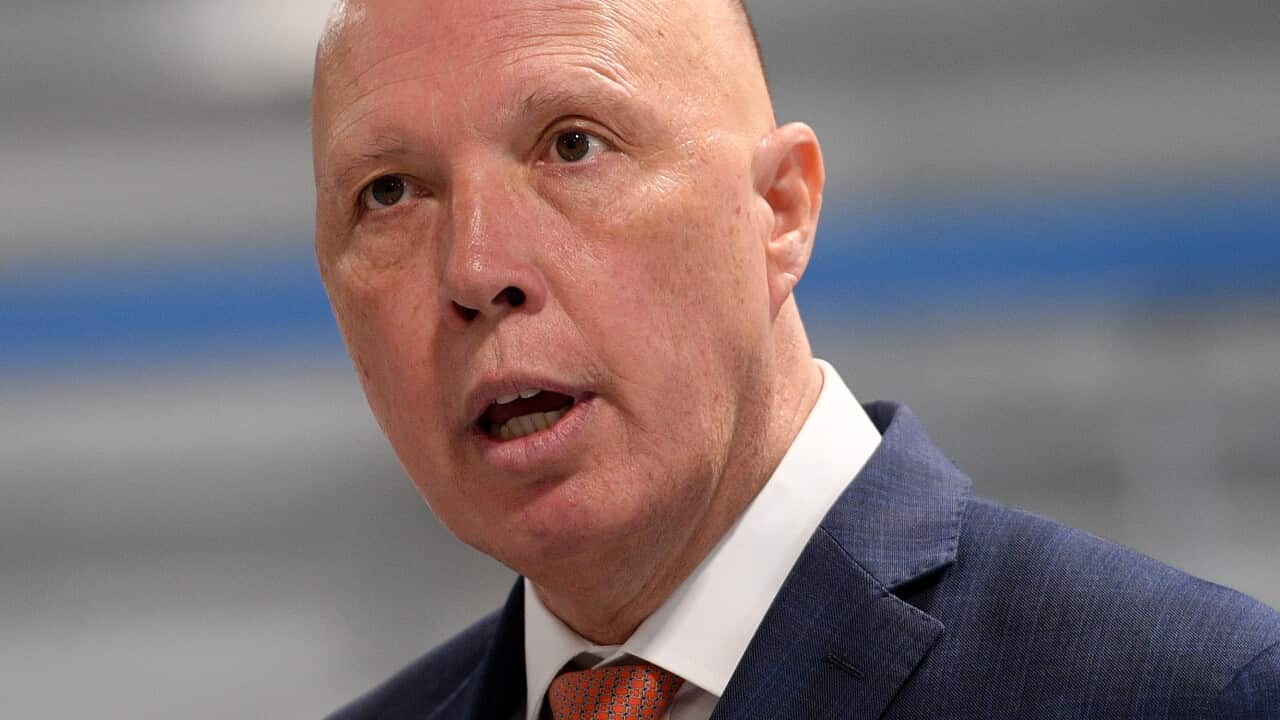 Peter Dutton takes aim at Anthony Albanese over missing detail in wage submission| SBS News
