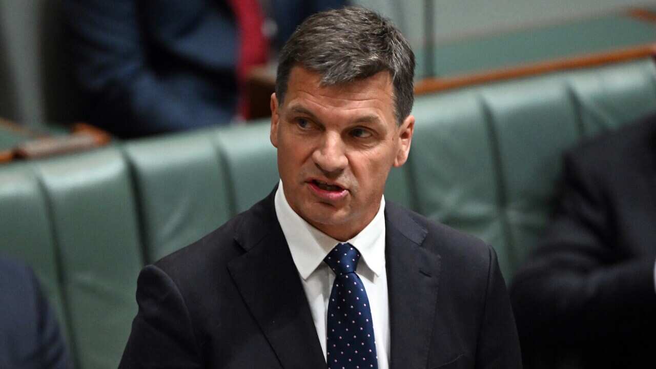 JIM CHALMERS BUDGET UPDATE