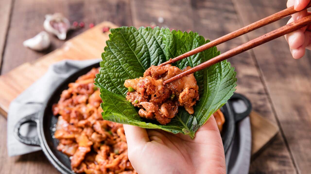 Image for read more article 'READ MORE'