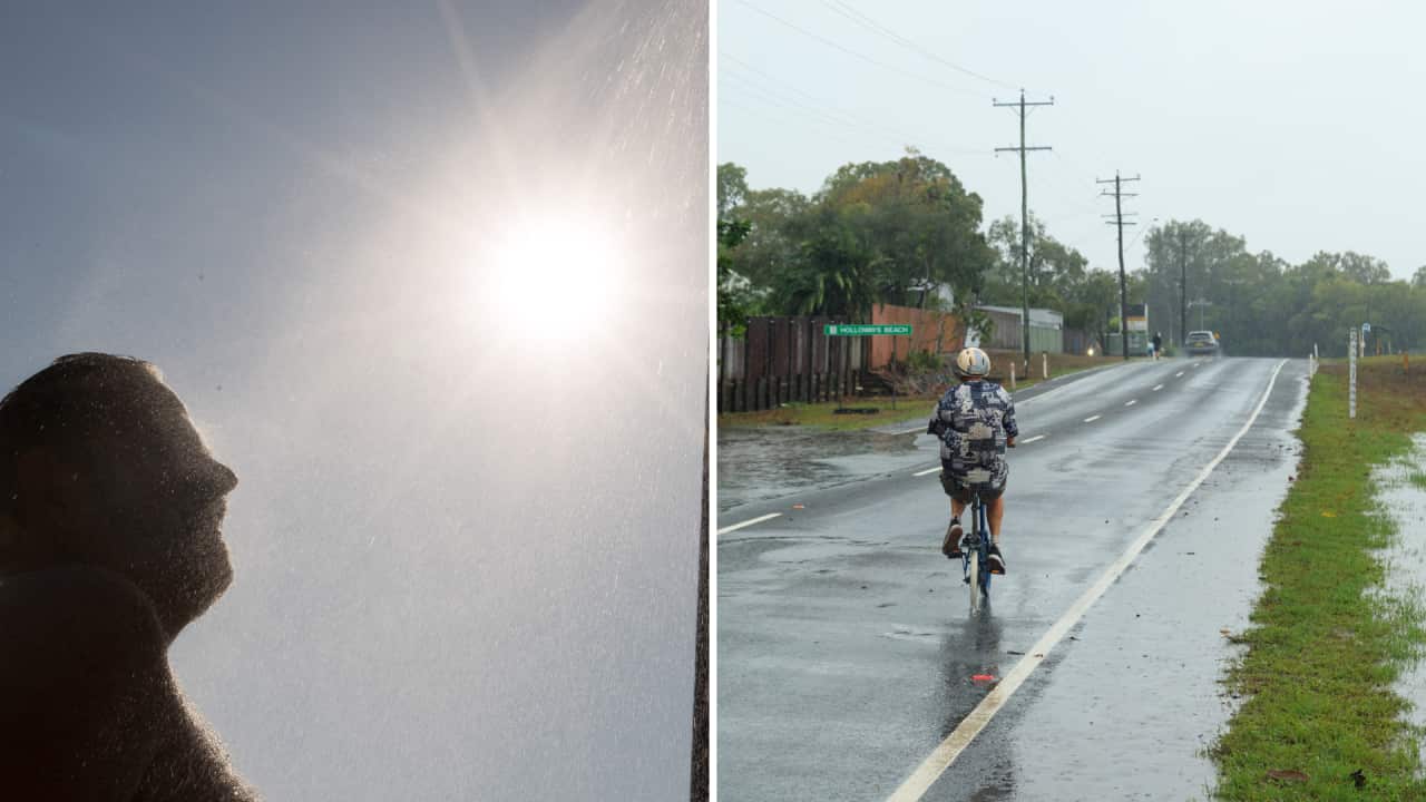 News Article Image double (1).png