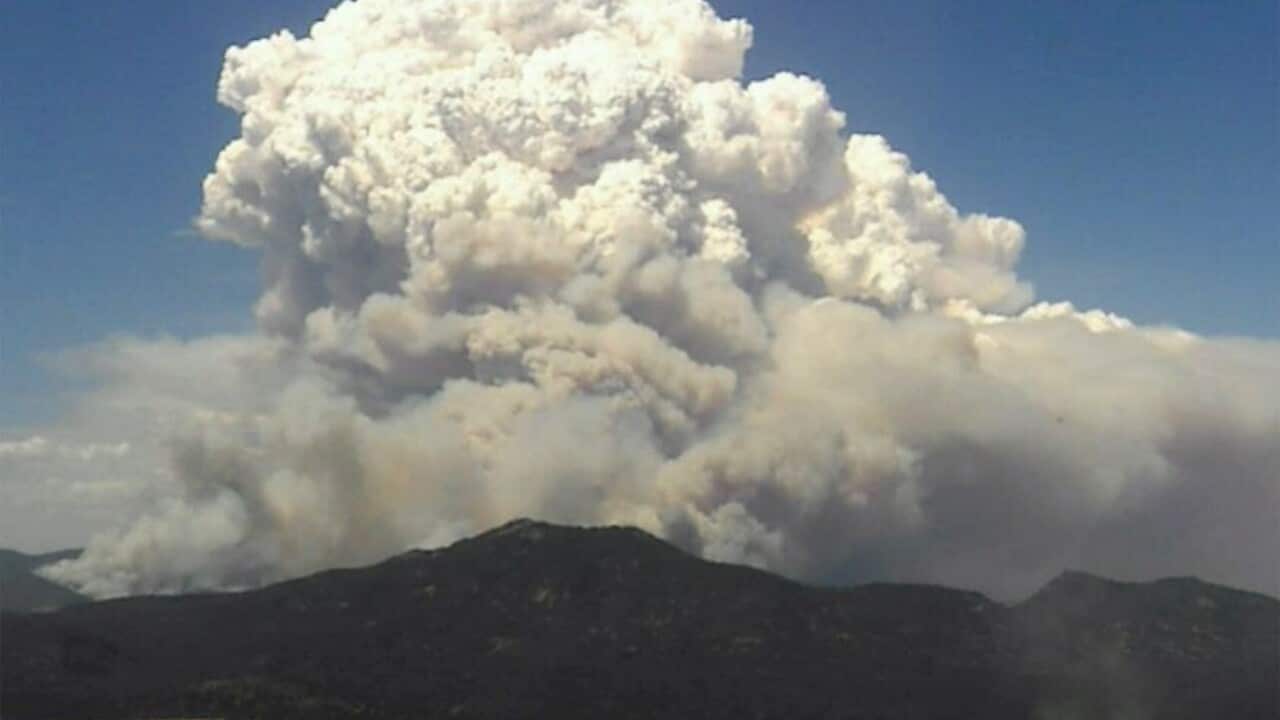 BUSHFIRES VICTORIA