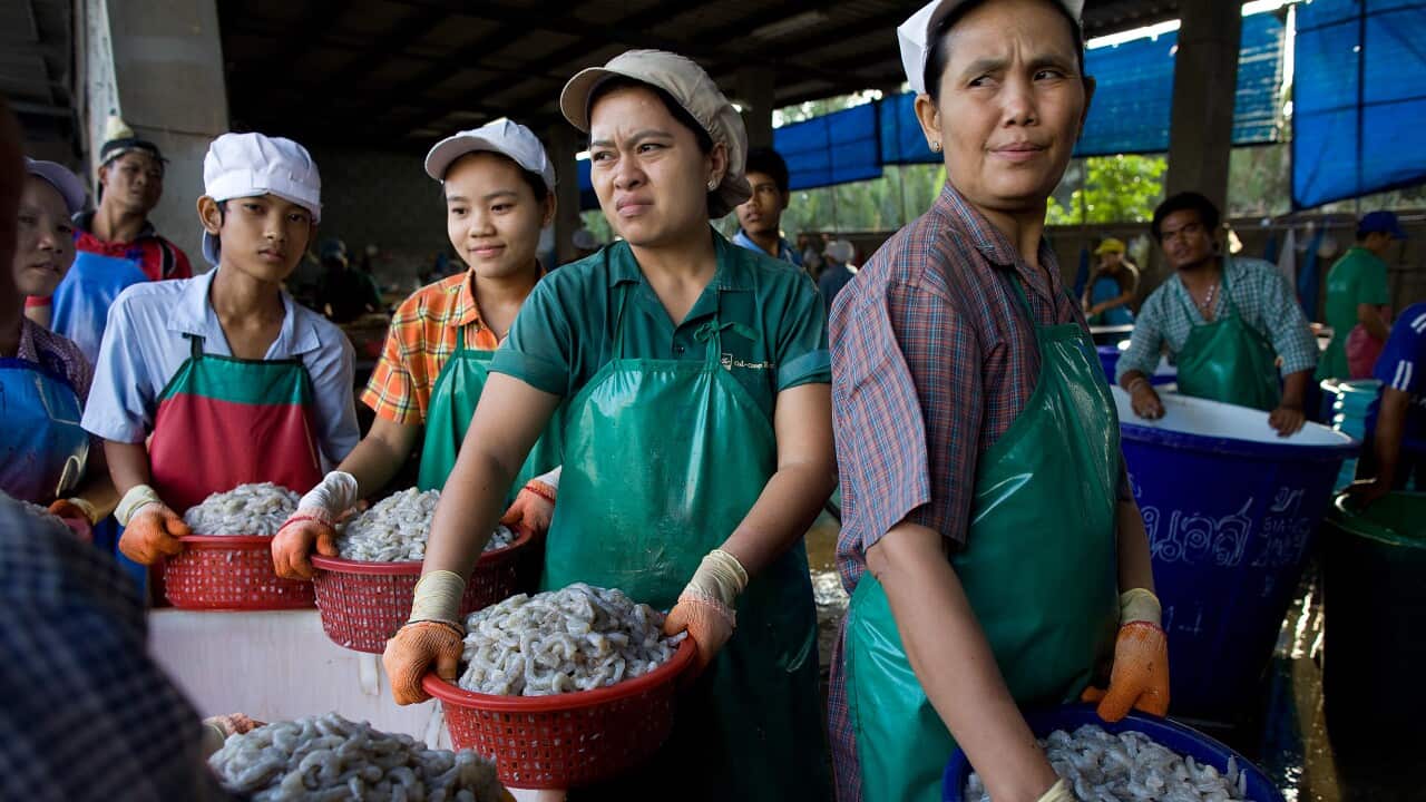 Thailand's Burmese Migrant Workers