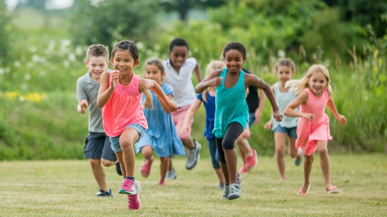 Children playing at the park