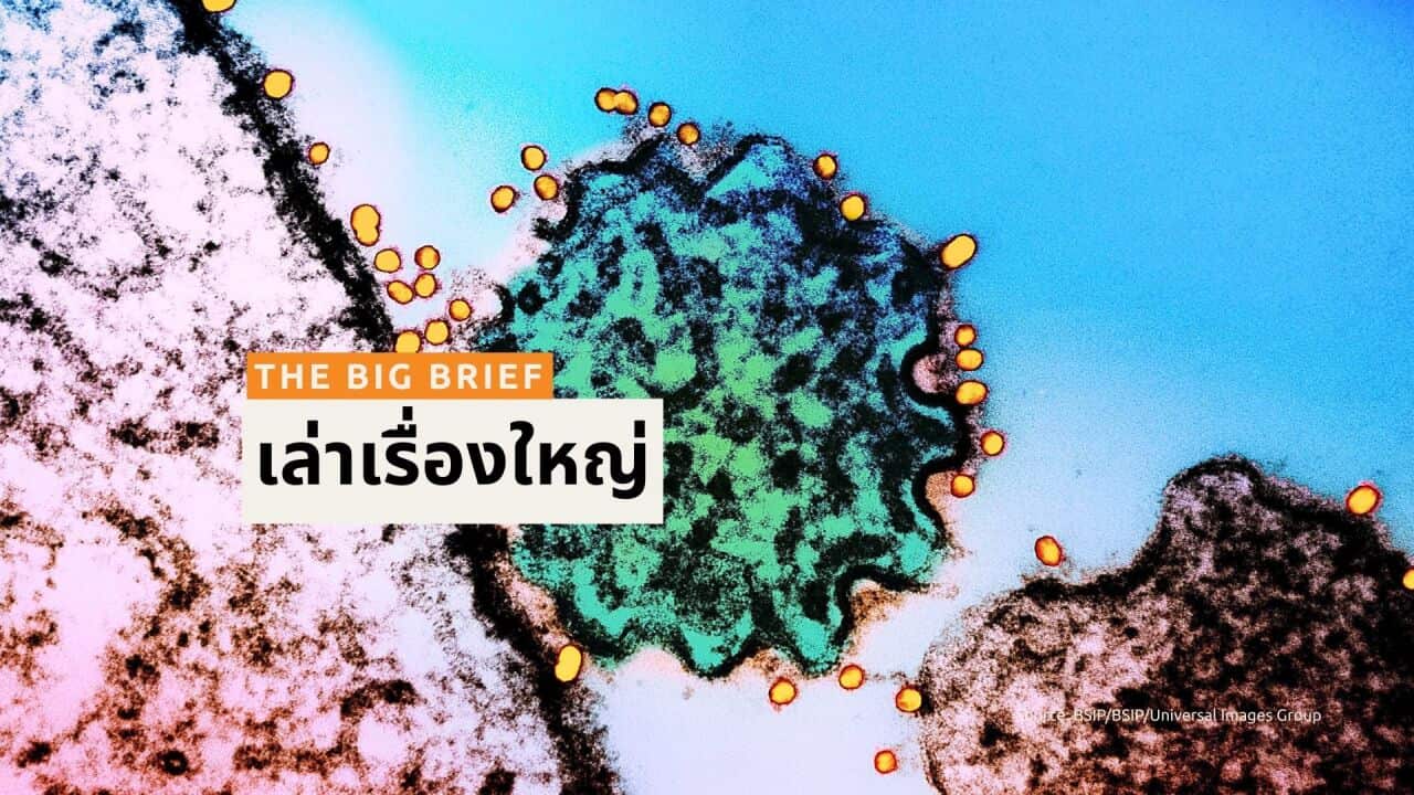 ALC THAI THE BIG BRIEF - BSP HEADER (2).jpg