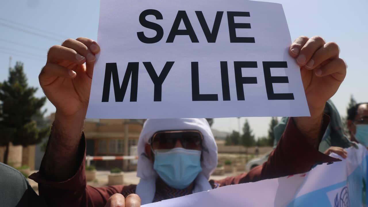 Image for read more article 'READ MORE'