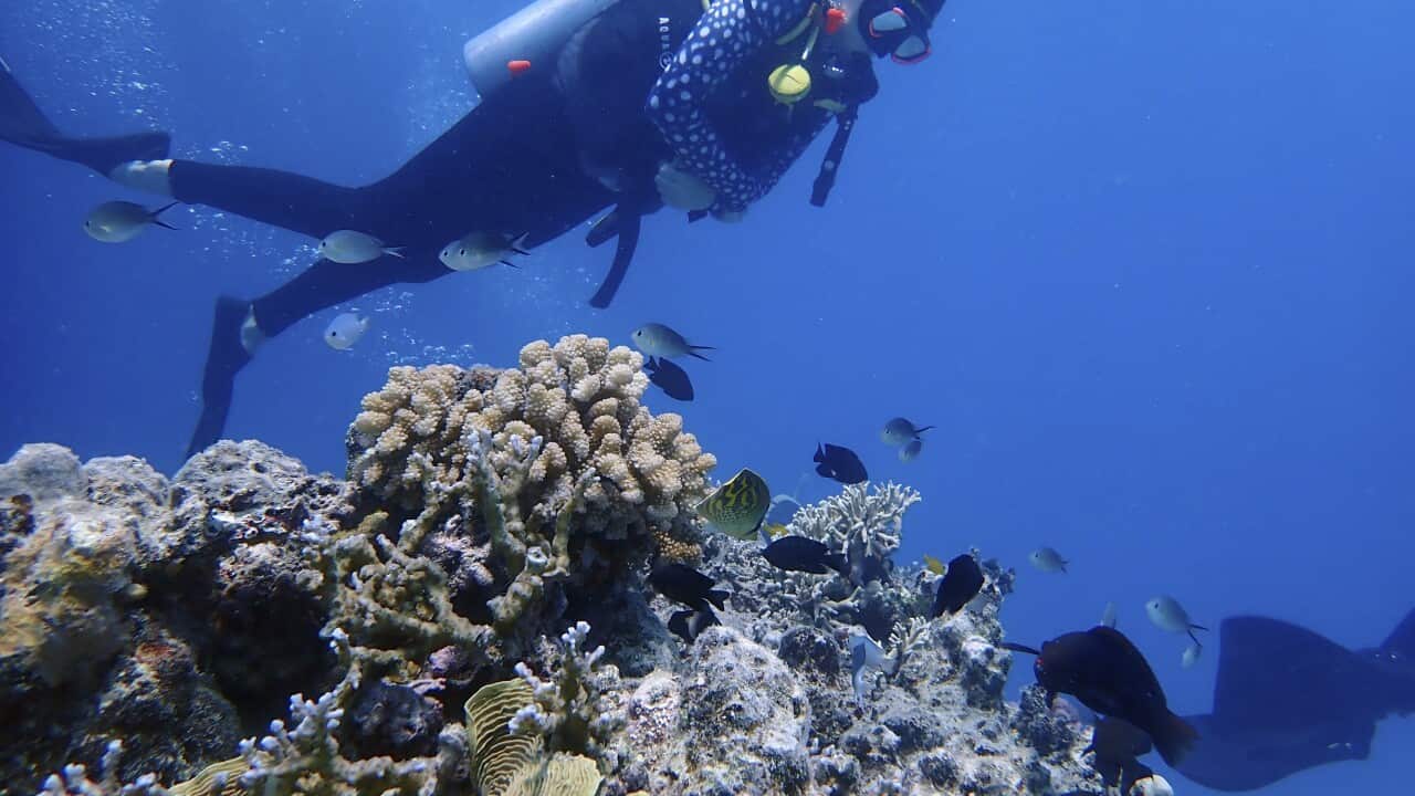 Image for read more article 'READ MORE'