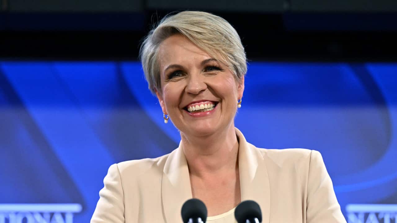 Image for read more article '更多內容'