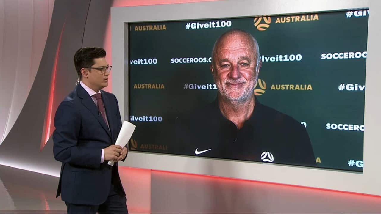 Matt Connellan speaking to Graham Arnold in Qatar (SBS).jpg
