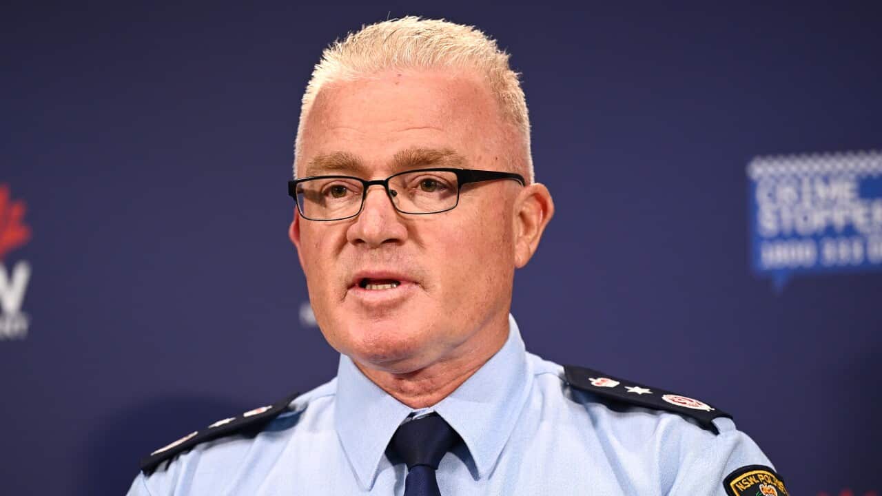 CHRIS MINNS BONDI BEACH SHOOTING