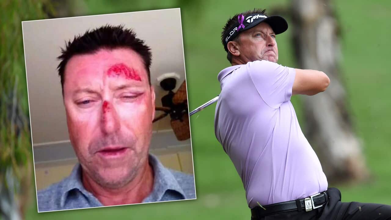 Australian golfer Robert Allenby hits out of the rough during round two of the Australian PGA Golf Championship at Royal Pines Resort on the Gold Coast, Friday, Dec. 12, 2014. (AAP Image/Dan Peled)