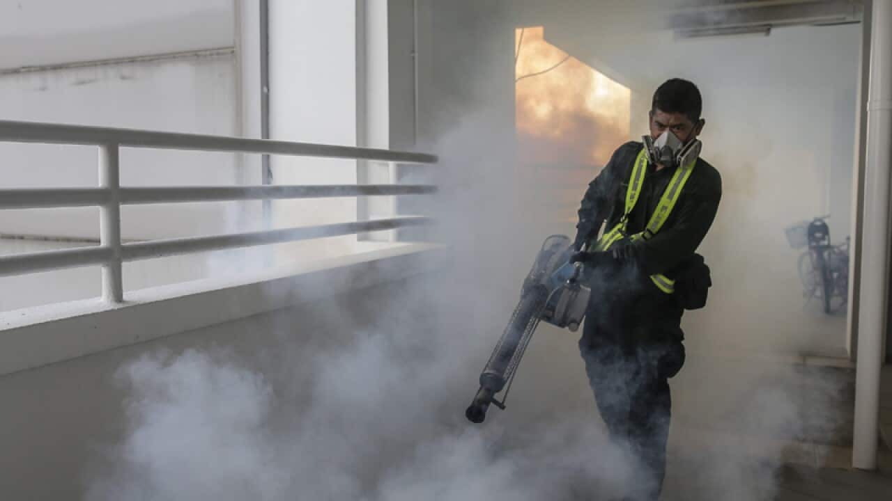 A pest exterminator fumigates a high rise apartment