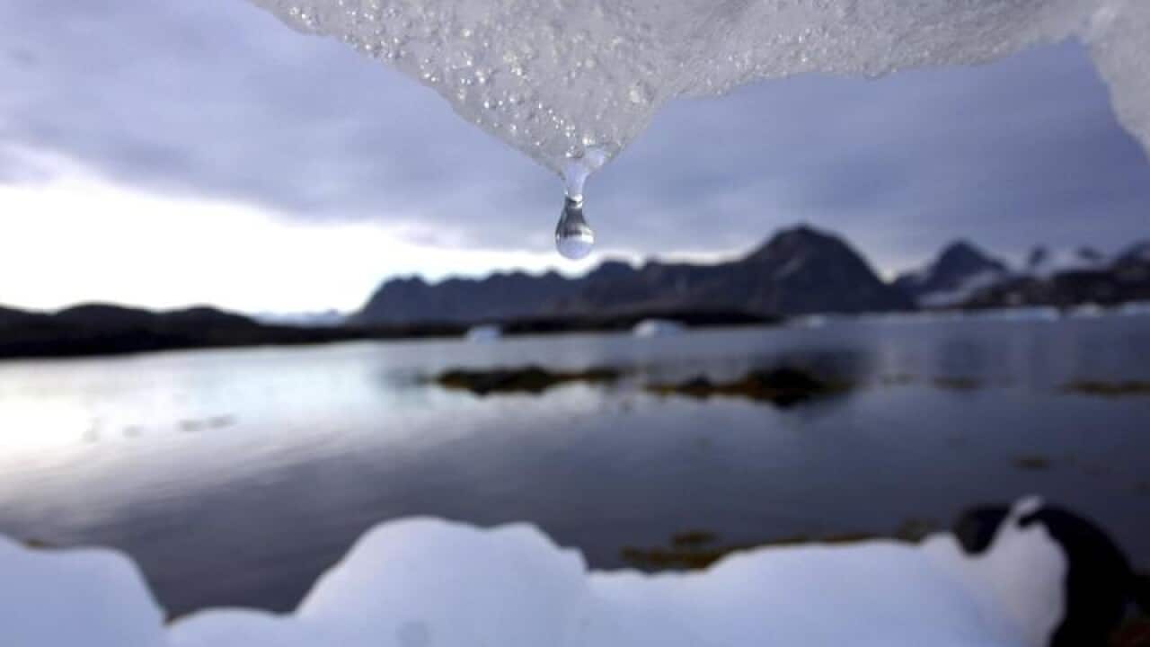 The Arctic is thawing faster than ever before.