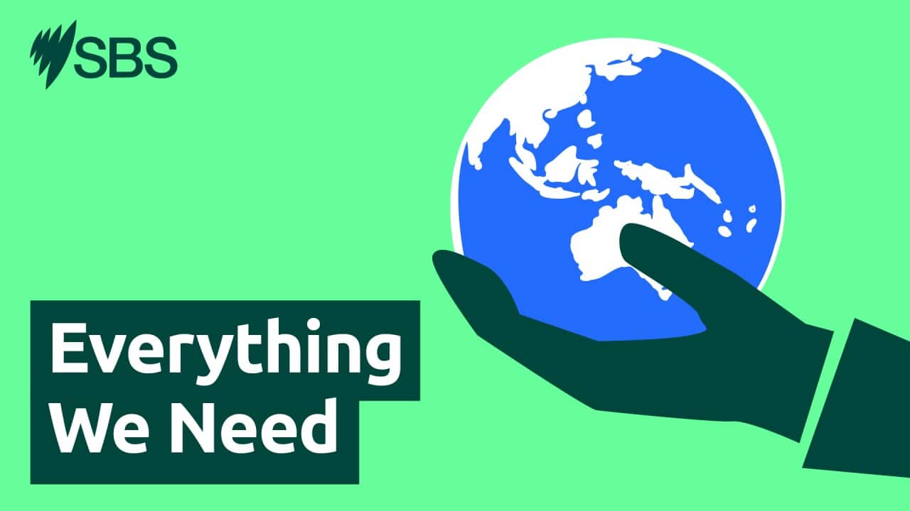 Image for read more article 'More from 'Everything We Need''