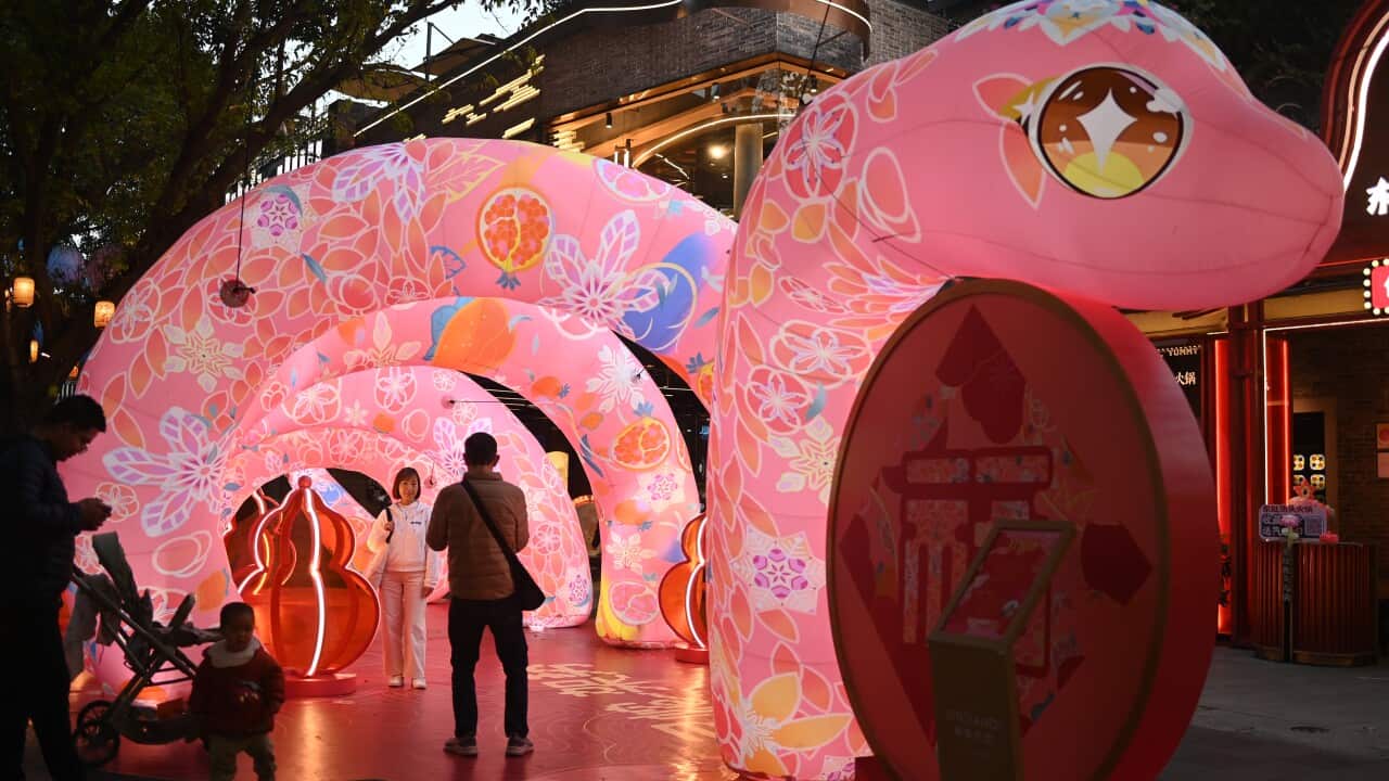 Chinese Welcome The Year Of The Snake