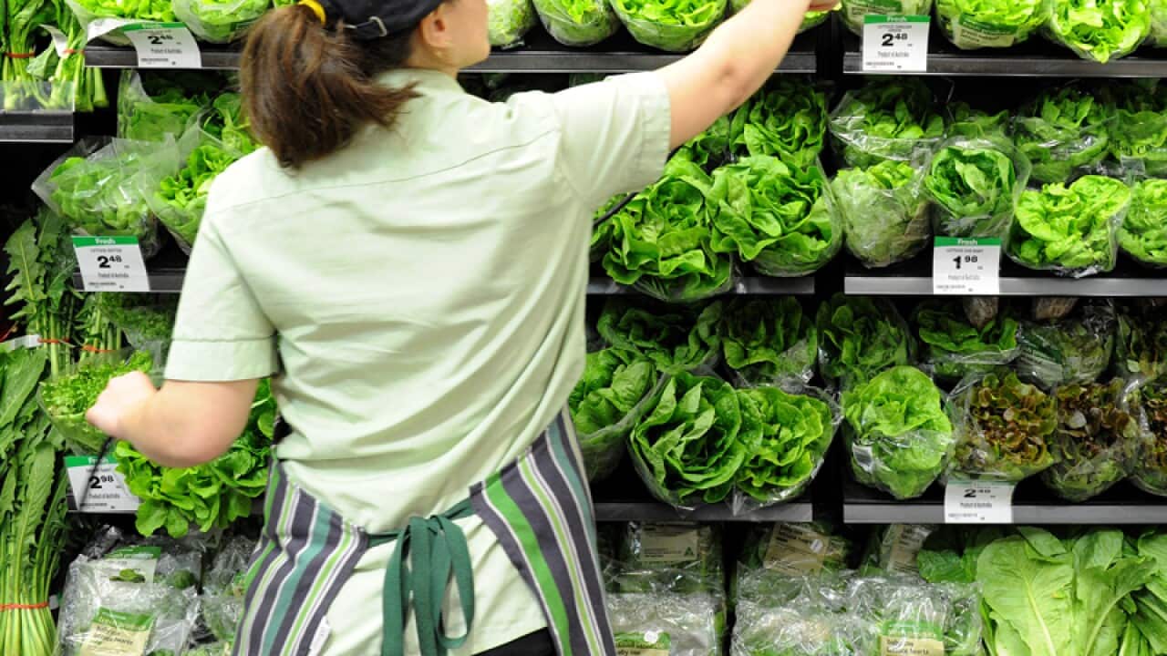 An employee arranges vegetables on display.
