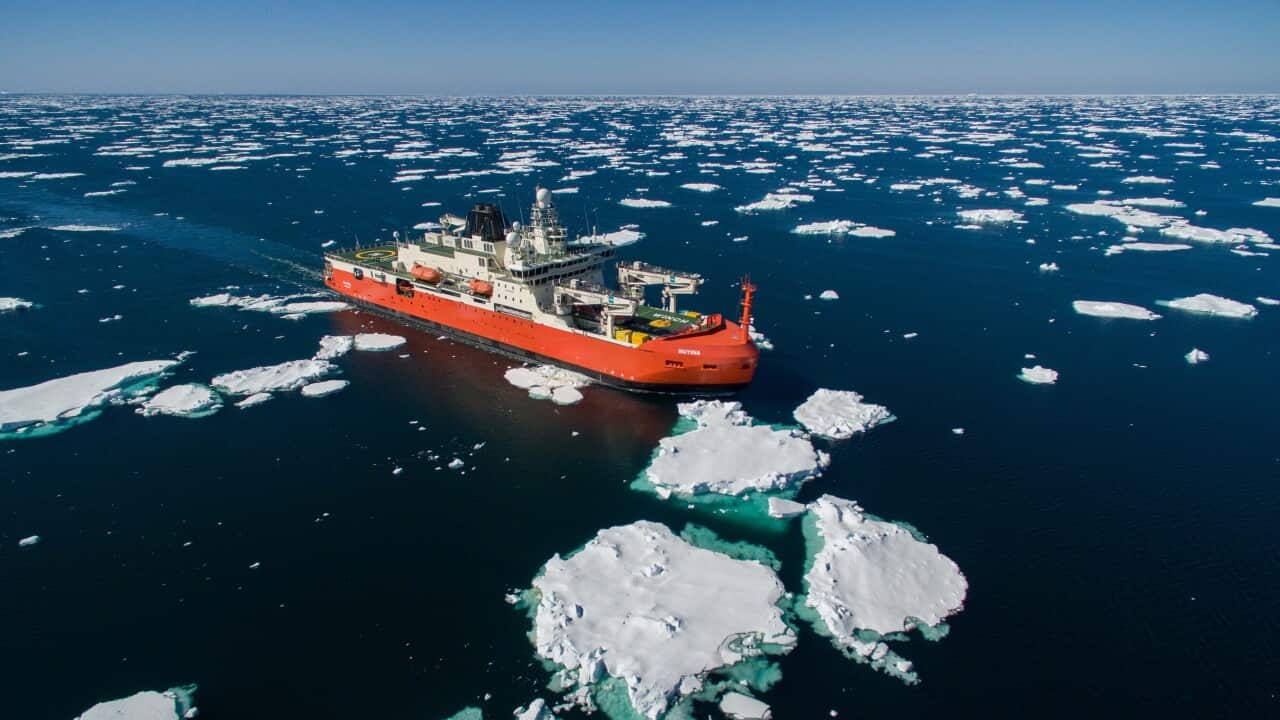 ANTARCTICA RSV NUYINA
