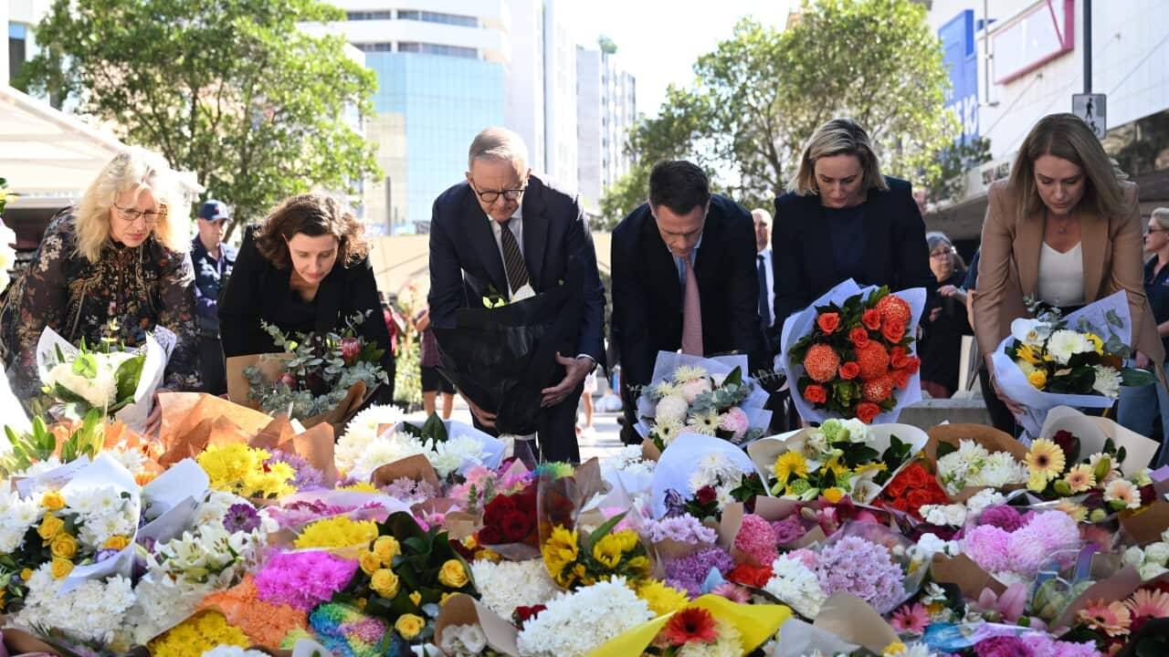 BONDI STABBING MASS MURDER