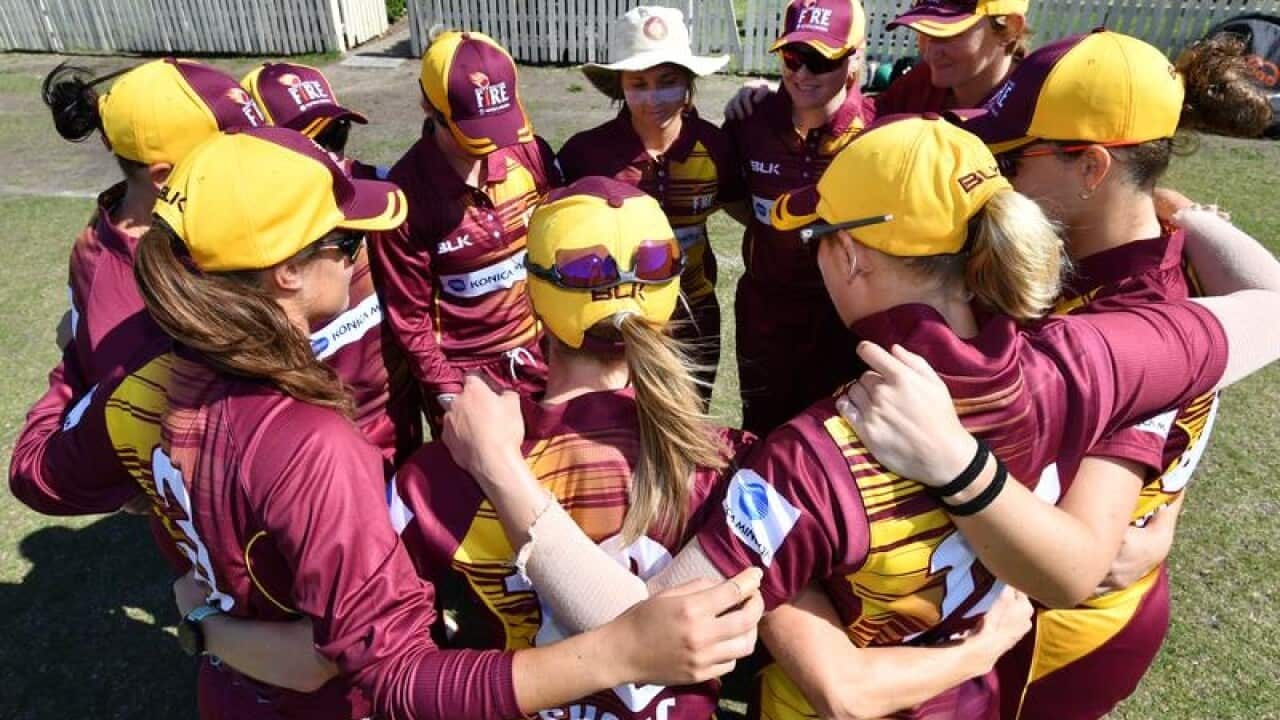 CRICKET WNCL QLD NSW