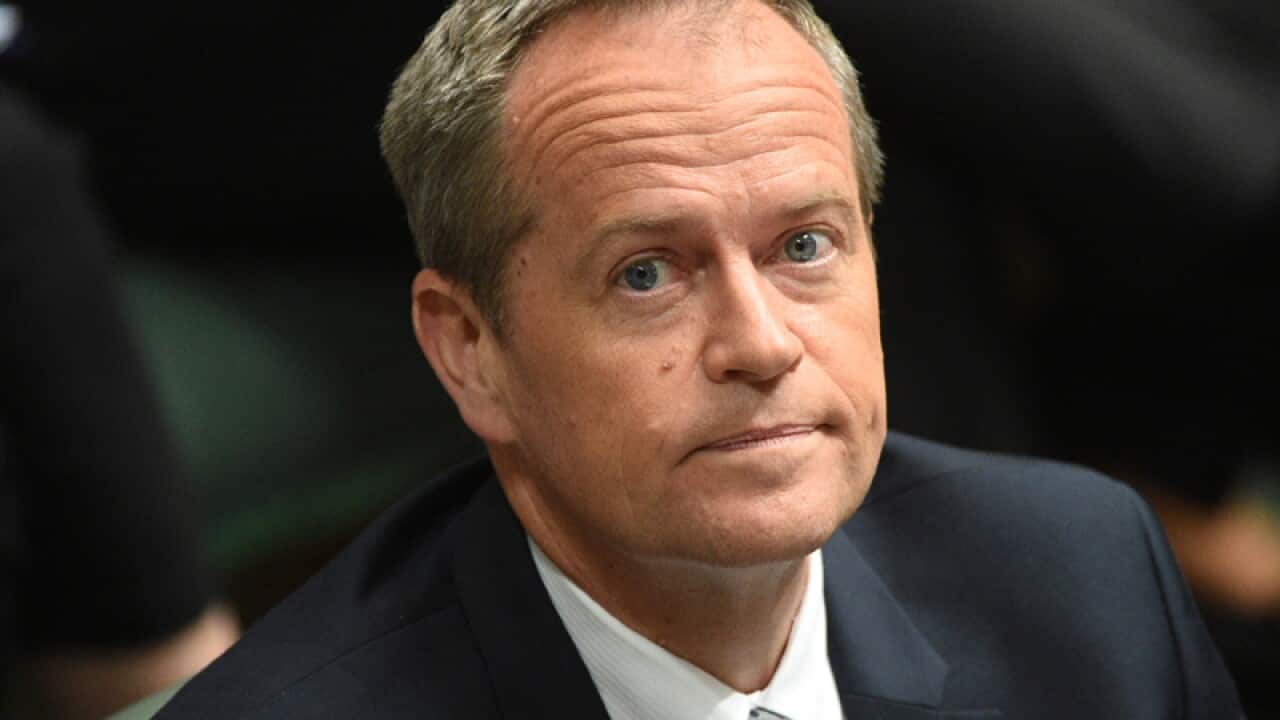 Leader of the Opposition Bill Shorten