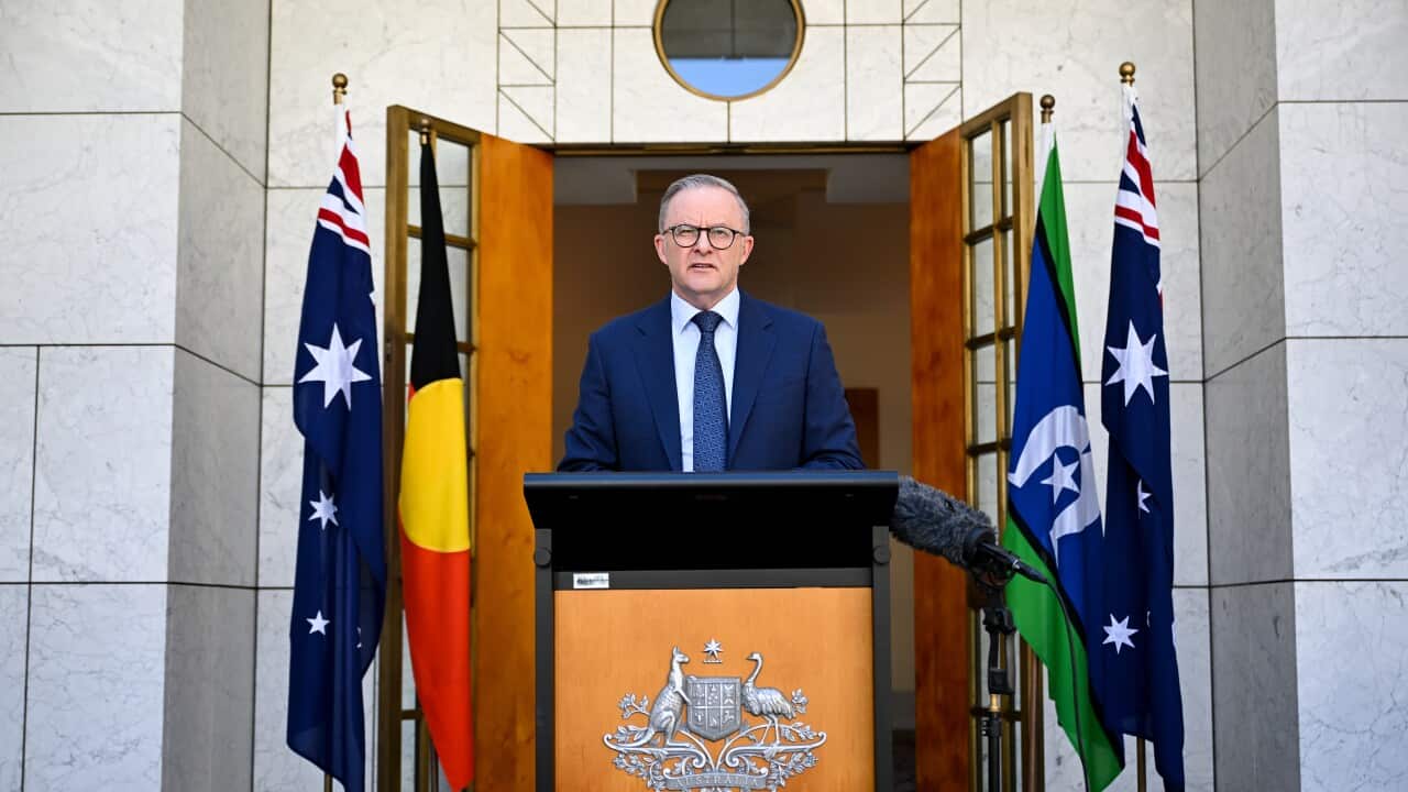 ANTHONY ALBANESE PRESSER