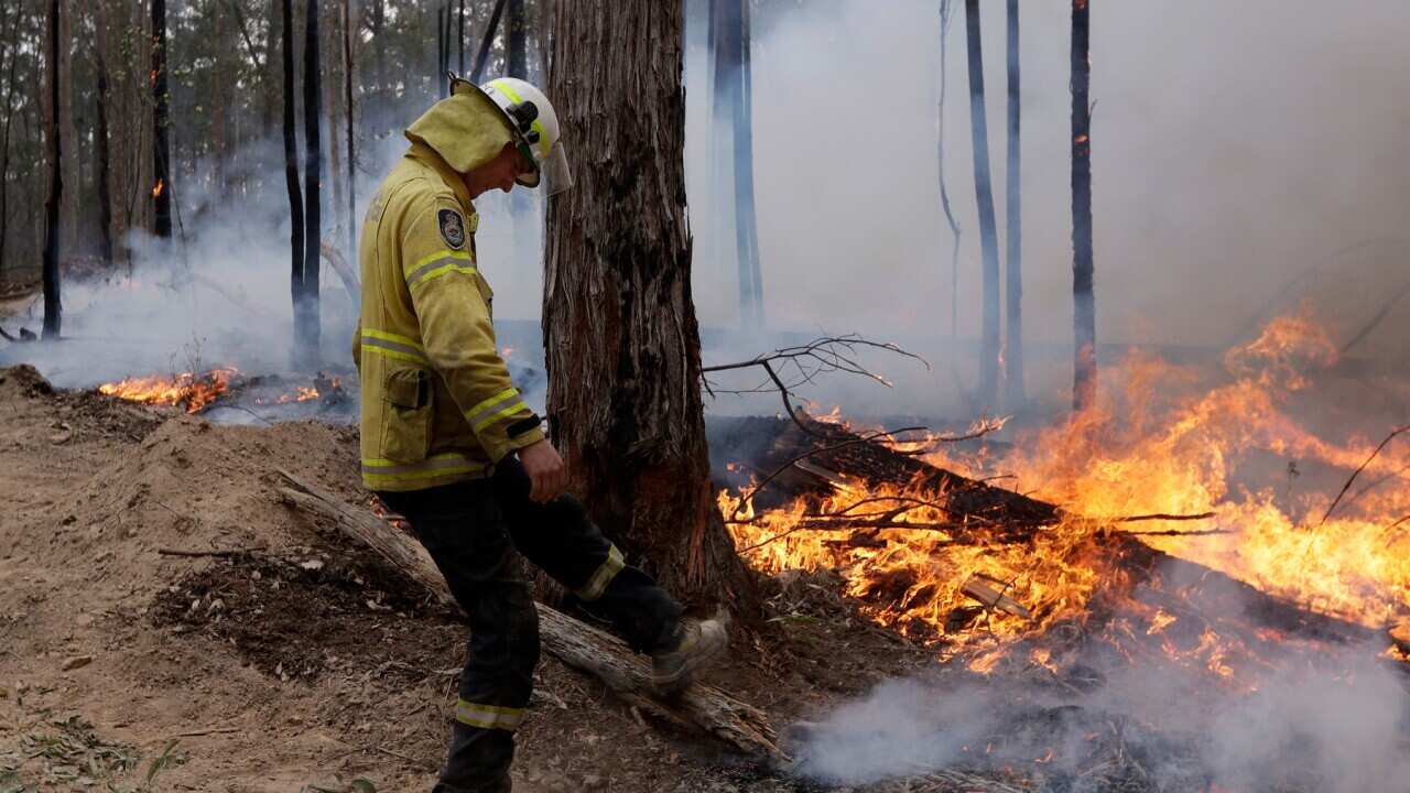A firefighter kicks at a log while helping to build a containment line at a fire near Bodalla, NSW