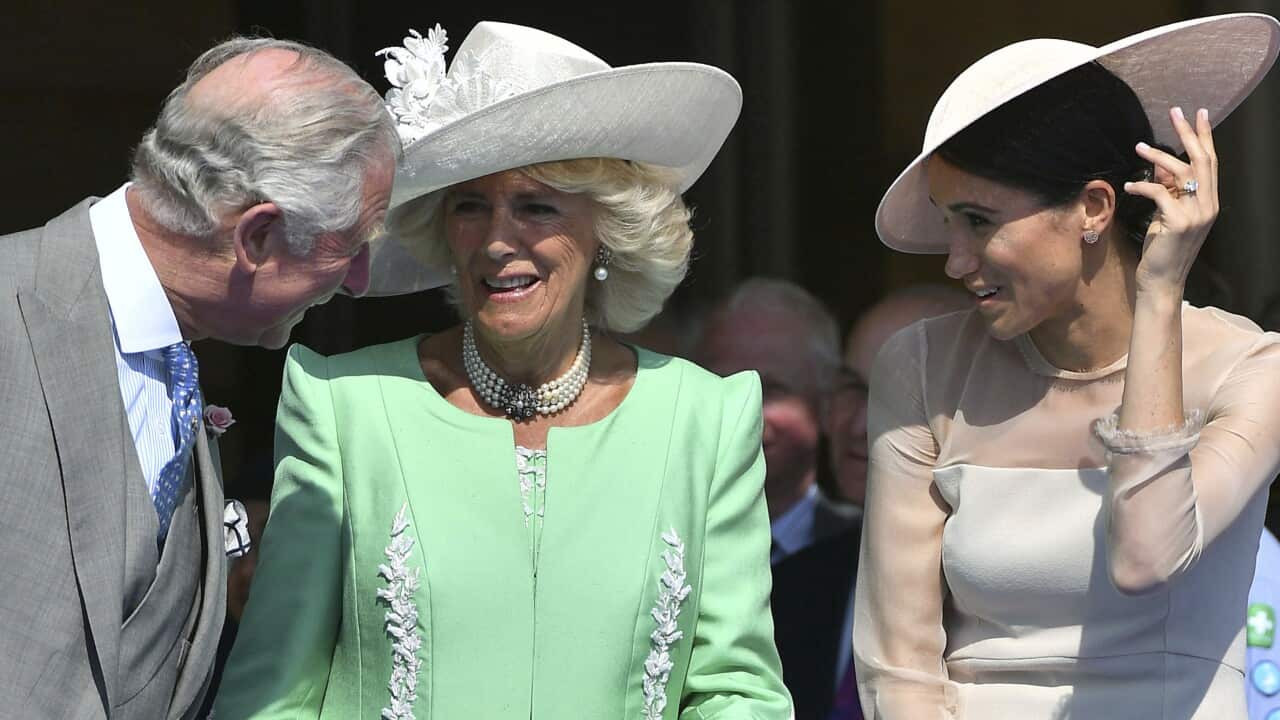 Image for read more article 'READ MORE'