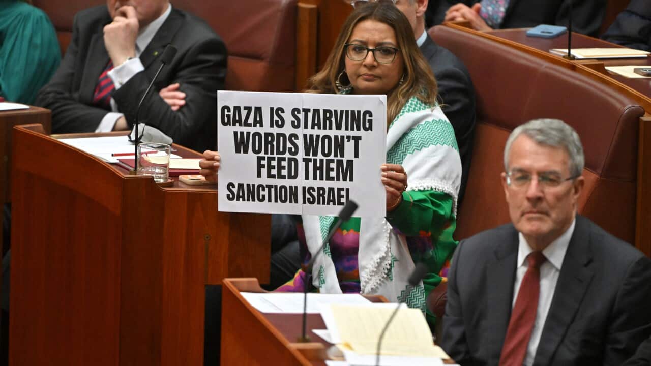 A woman holds up a sign that reads: Gaza is starving words won't feed them sanction Israel in a parliament chamber.