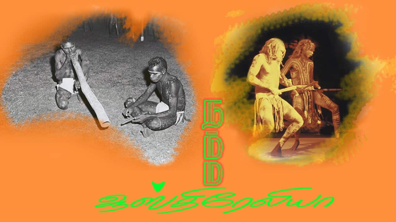 Image for read more article ''