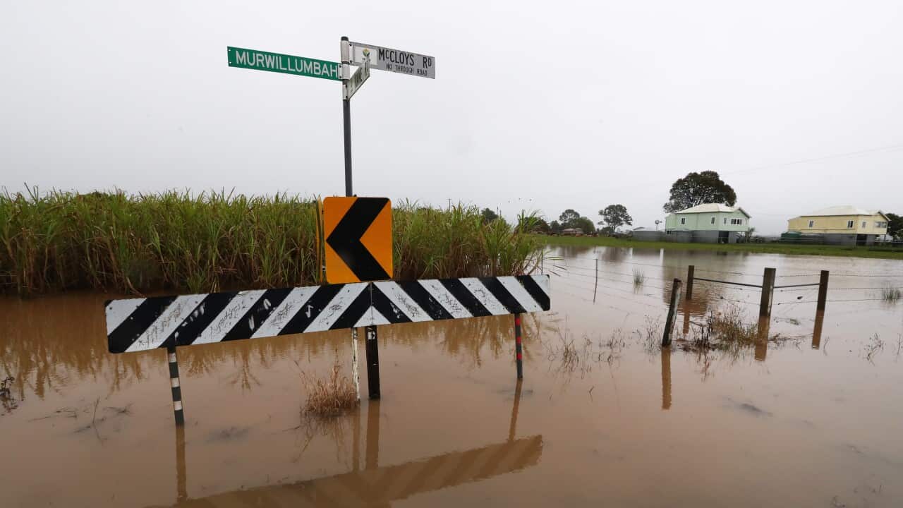 NSW FLOODS