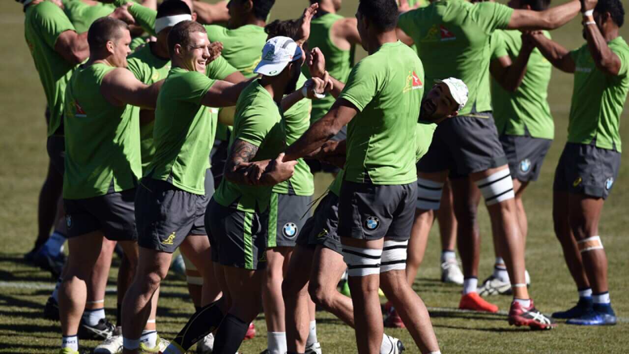 The Wallabies in training