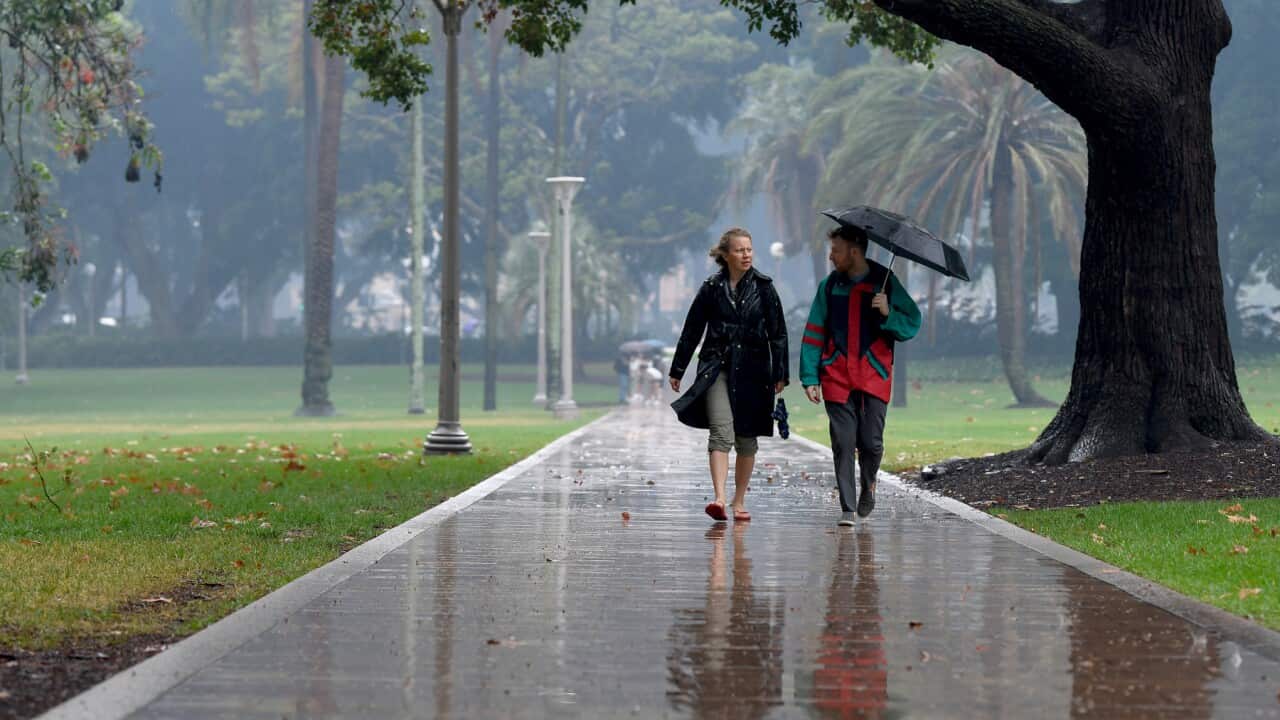 Pedestrians hold umbrellas as they walk in heavy rain in Sydney's CBD