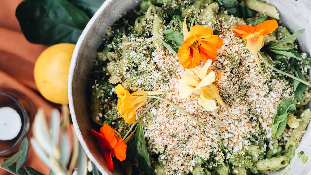 Spring vegetable penne with pea pesto