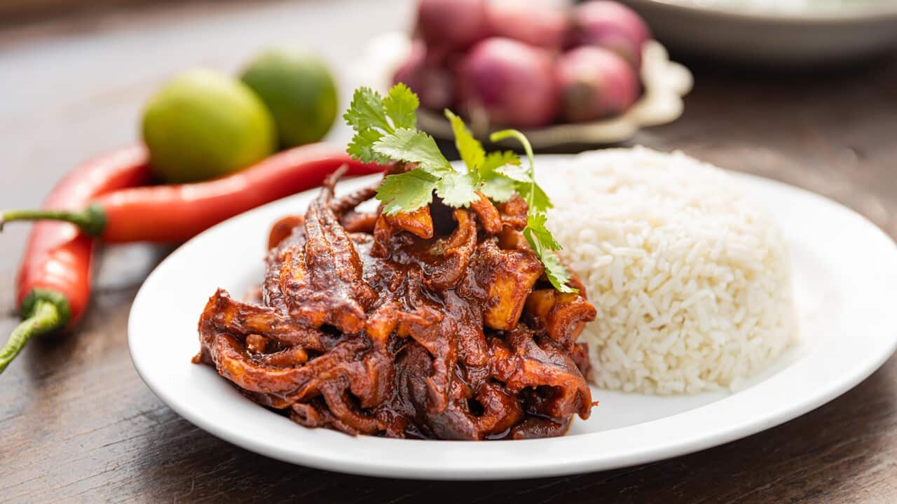 A white plate holds a mound of rice and a pile of squid pieces in a thick, dark sauce.