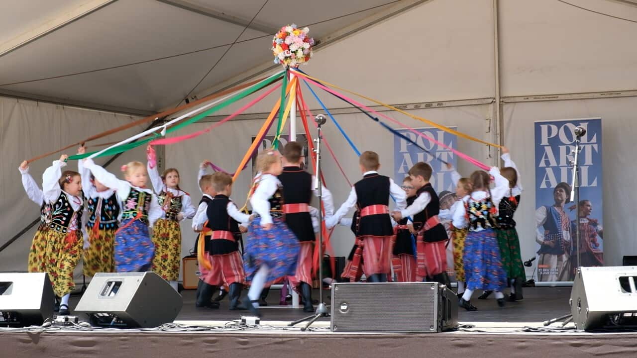 Polart Adelaide 2025.jpg