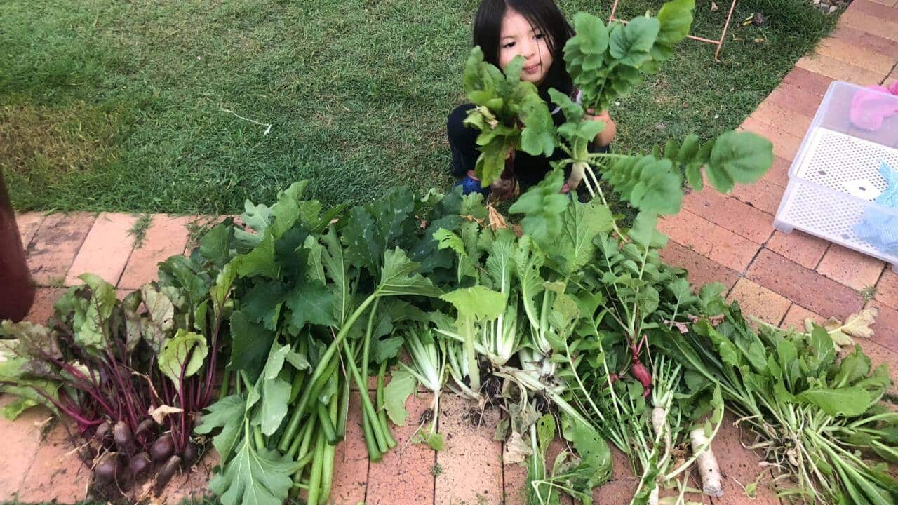 Image for read more article 'READ MORE'